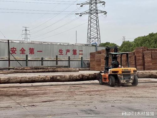 木頭云合作市場 打造一站式木材交易新平臺